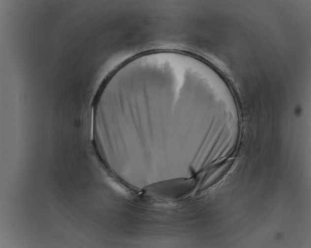 X0000094221223200711241714