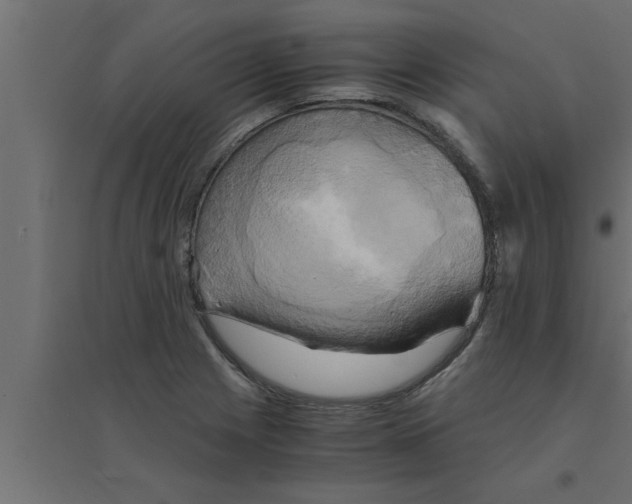 X0000094221225200711241714