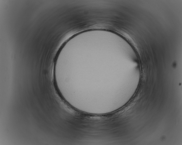 X0000094221227200711241714