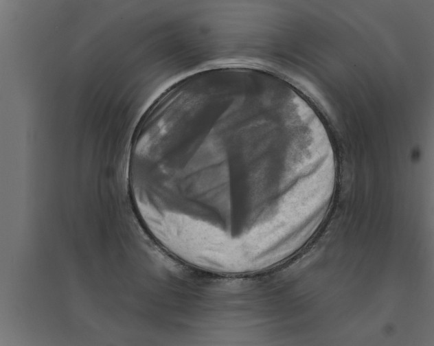 X0000094221228200711241714