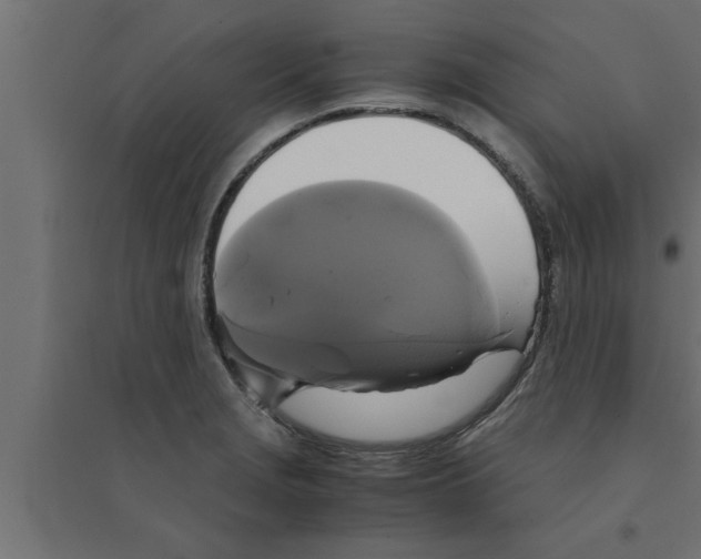 X0000094221229200711241714