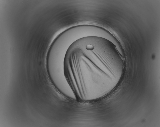 X0000094221230200711241714