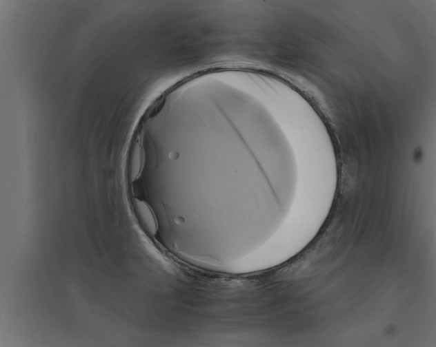 X0000094221231200711241714