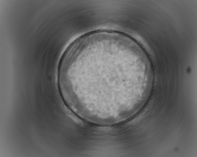 X0000094221232200711241714