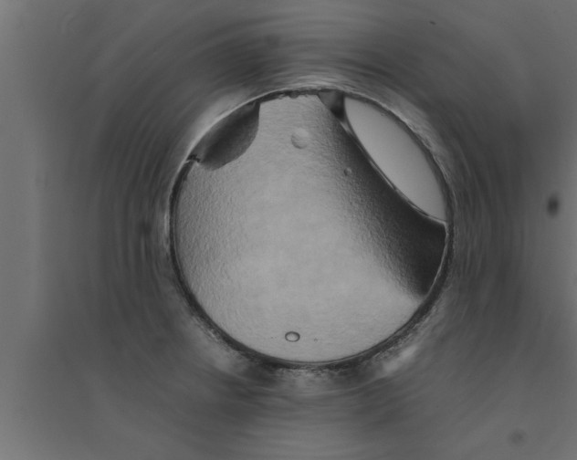 X0000094221234200711241714