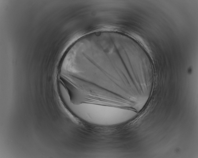 X0000094221235200711241714