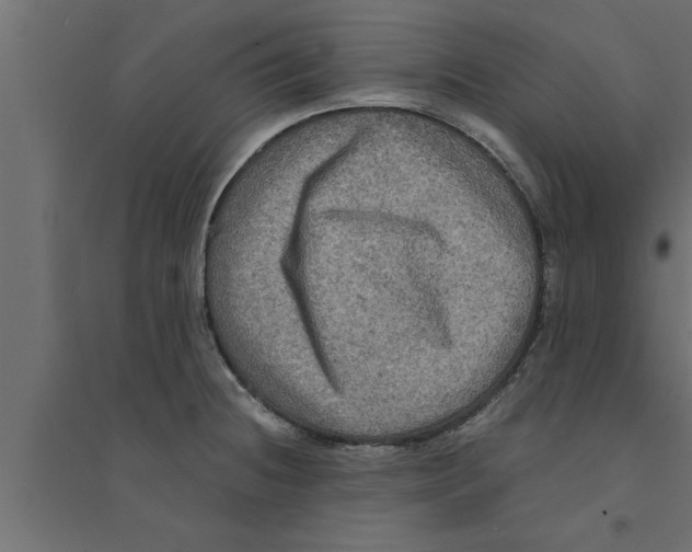 X0000094221236200711241714