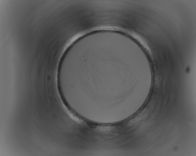 X0000094221237200711241714