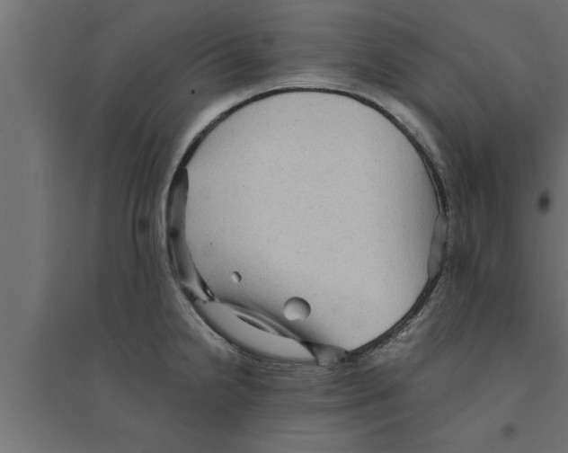 X0000094221238200711241714