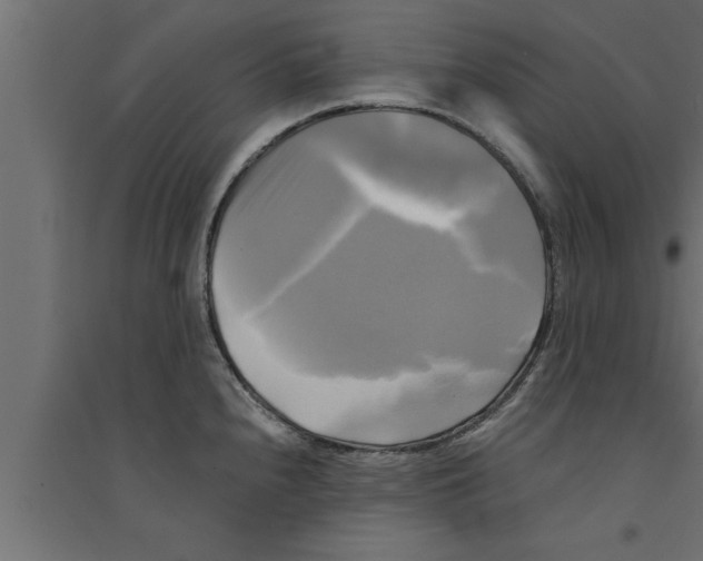 X0000094221240200711241714