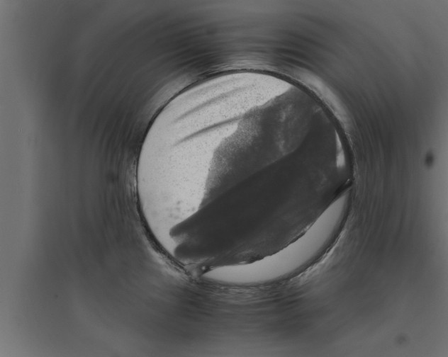 X0000094221241200711241714