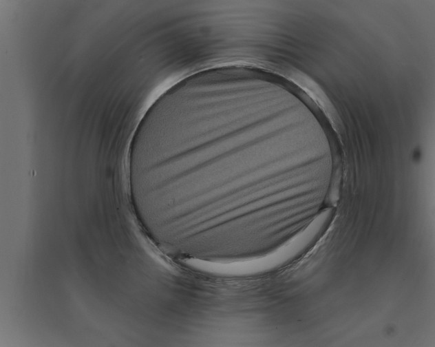 X0000094221242200711241714