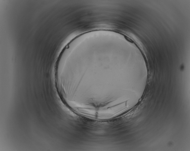 X0000094221243200711241714