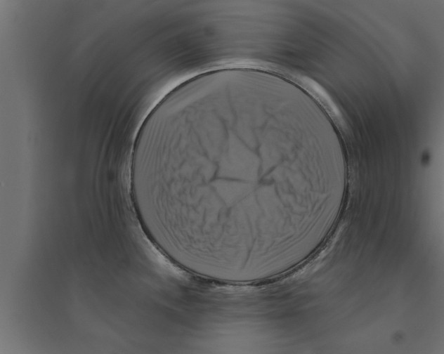 X0000094221244200711241714