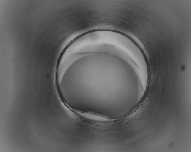 X0000094221245200711241714