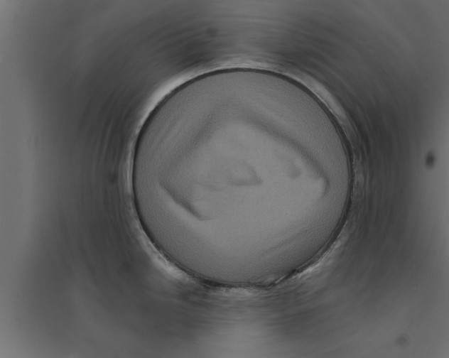 X0000094221246200711241714