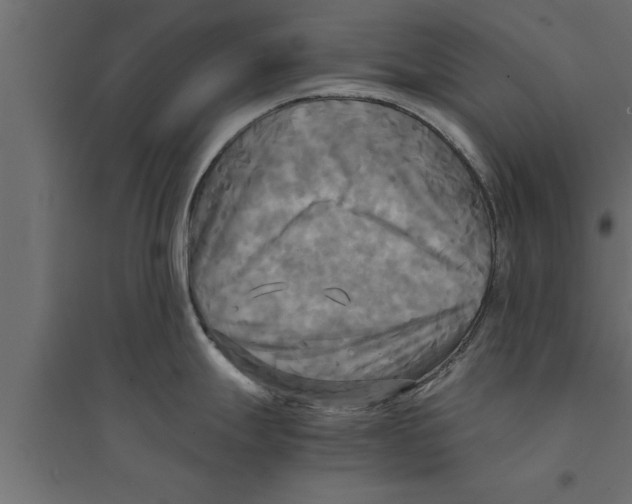 X0000094221247200711241715