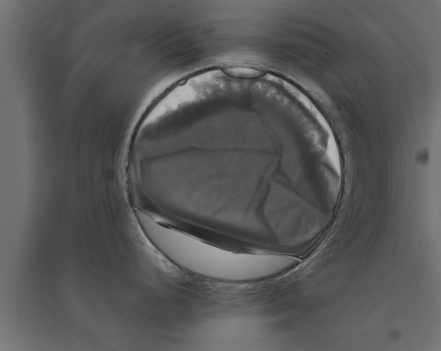 X0000094221248200711241715