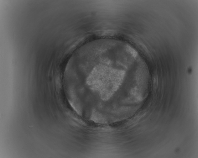 X0000094221250200711241714