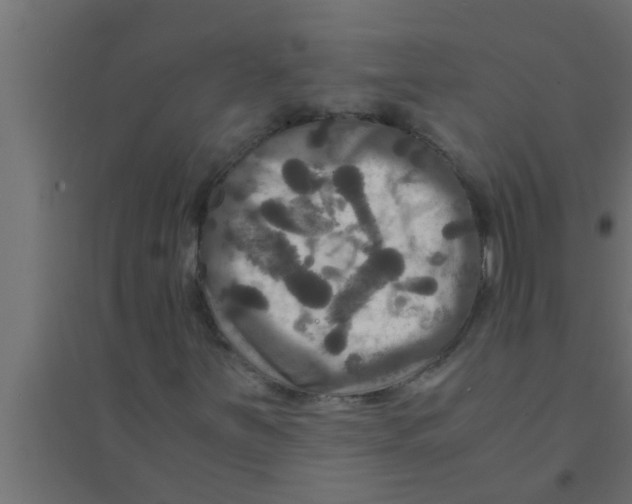 X0000094221251200711241714