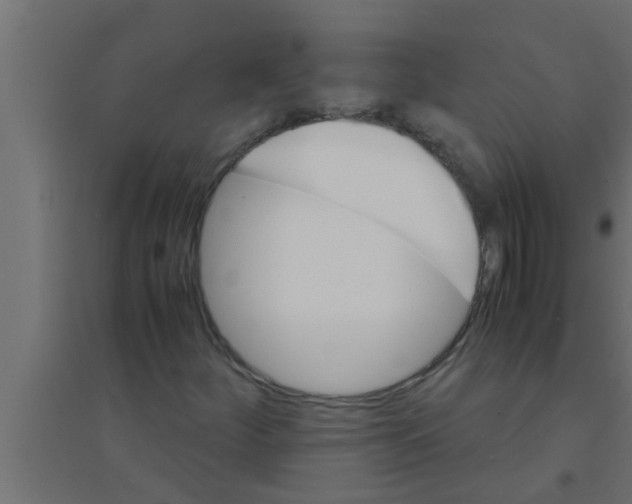 X0000094221252200711241714