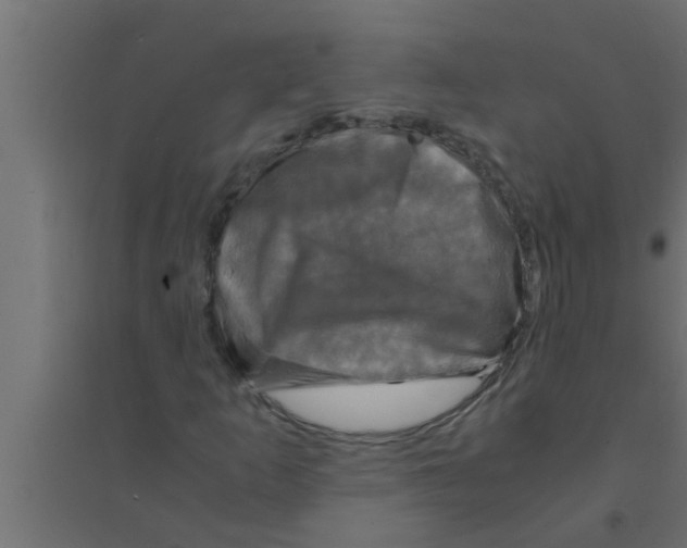 X0000094221253200711241714