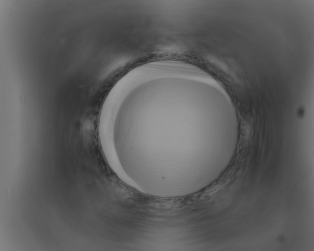 X0000094221254200711241714