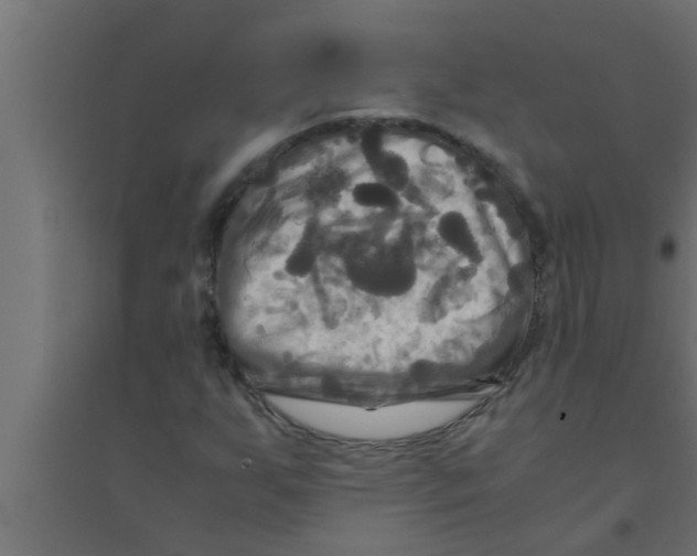 X0000094221255200711241714