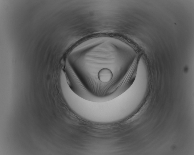 X0000094221257200711241714