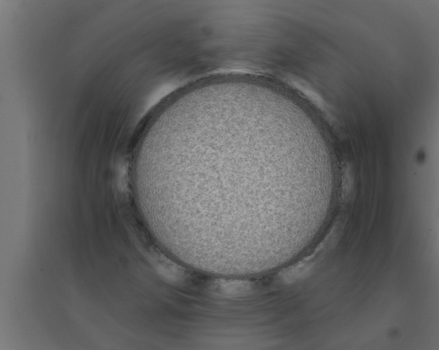 X0000094221258200711241714