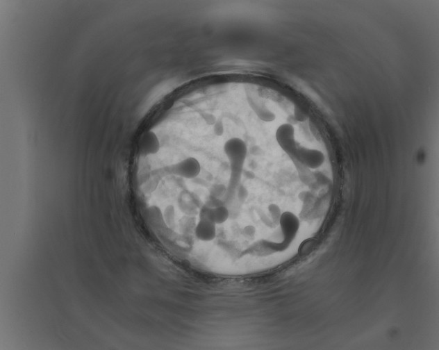 X0000094221259200711241714