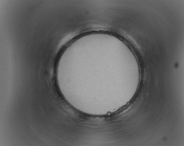 X0000094221261200711241714