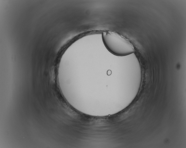 X0000094221262200711241714