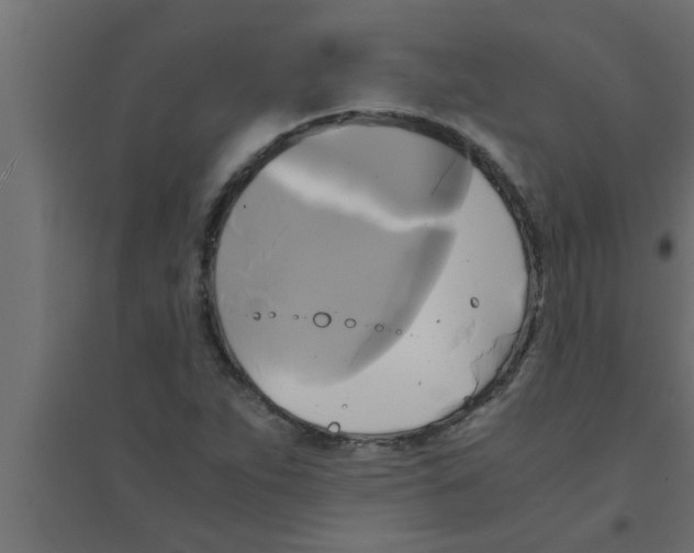 X0000094221263200711241714