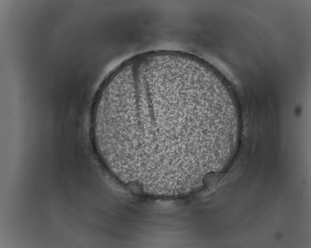 X0000094221264200711241714