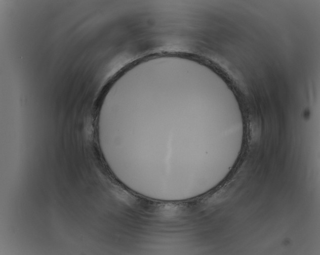 X0000094221266200711241714