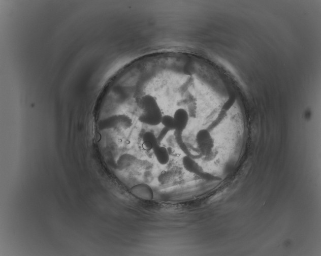 X0000094221267200711241714