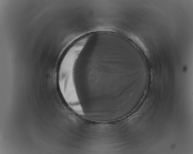 X0000094221268200711241714