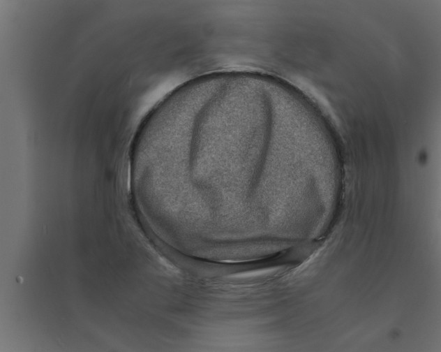 X0000094221269200711241714