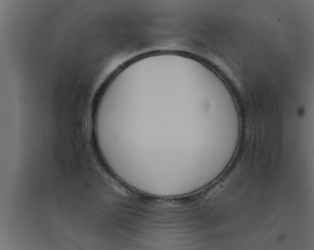 X0000094221270200711241714