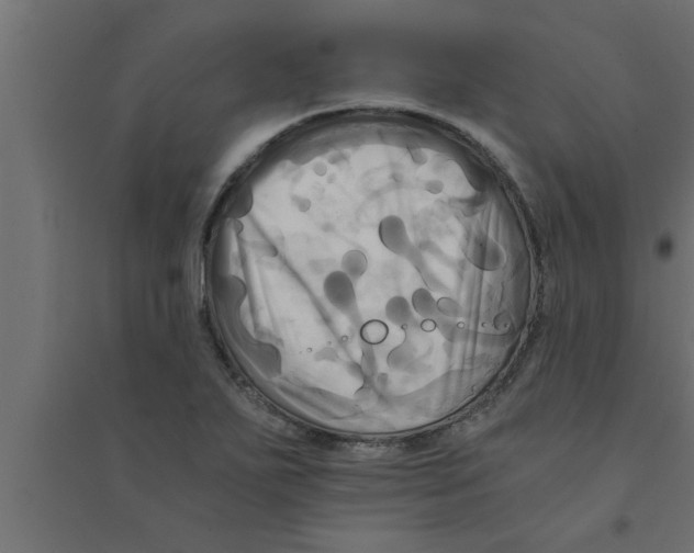 X0000094221271200711241714