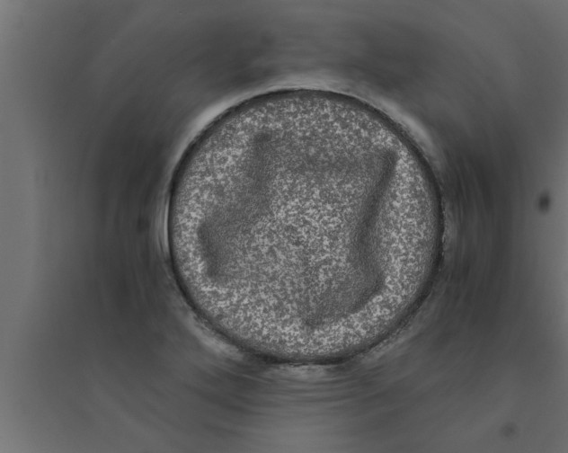 X0000094221272200711241714