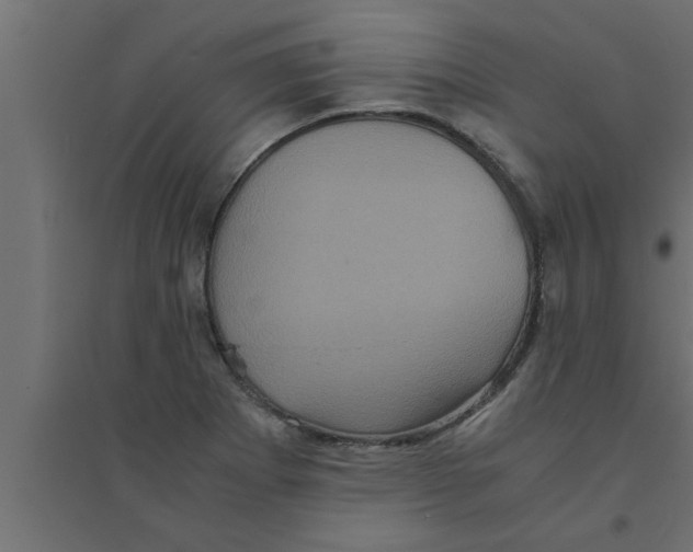 X0000094221273200711241714