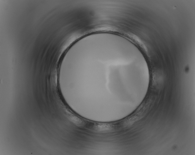 X0000094221274200711241714