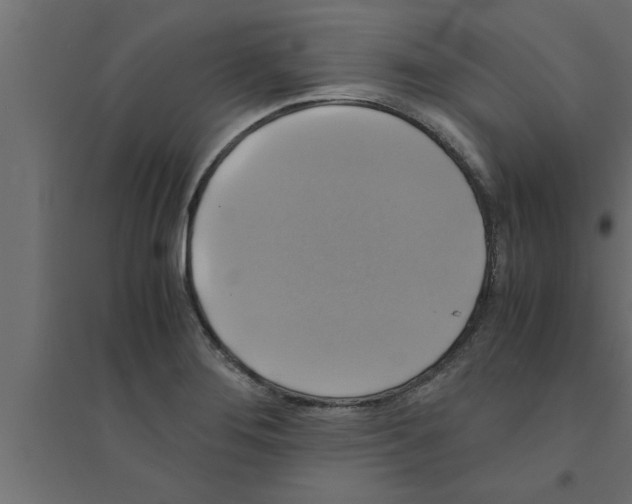 X0000094221276200711241713