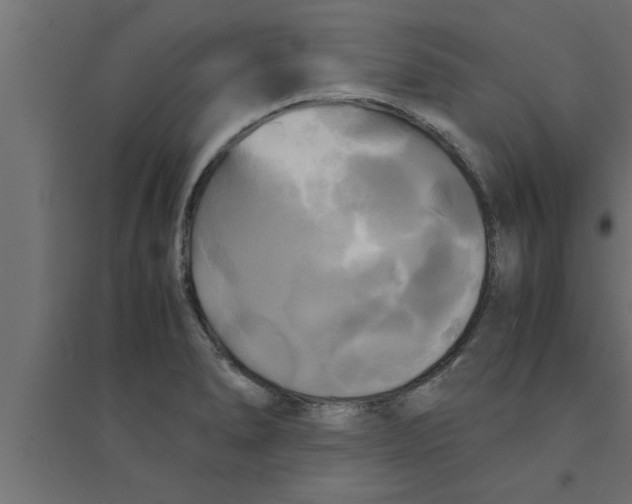 X0000094221278200711241713