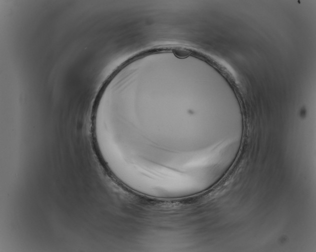 X0000094221279200711241713