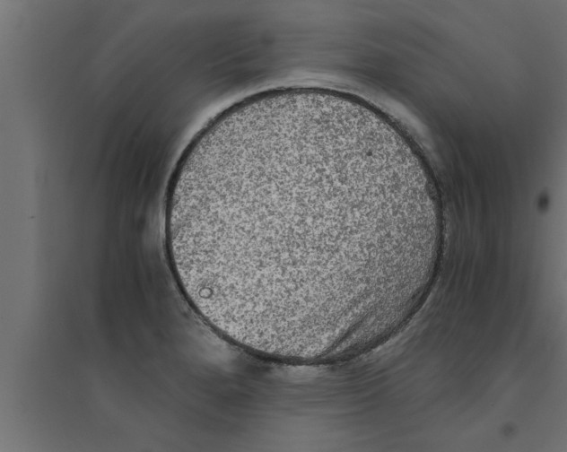 X0000094221280200711241713