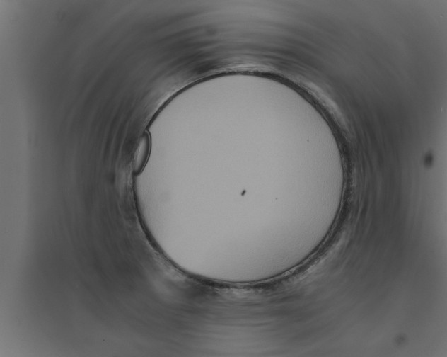 X0000094221281200711241713