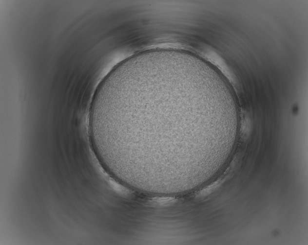 X0000094221282200711241713